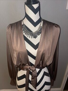 Revamped Shimmery Bronze Satin Crop Blouse